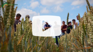FARMDEMO Youtube How to increase interaction during on-farm demonstration events
