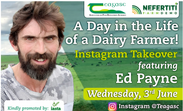a day in the life of a dairy farmer